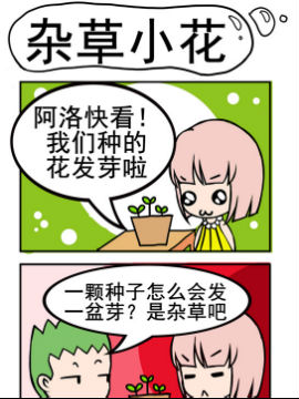 小菇和阿洛之杂草小花3d漫画