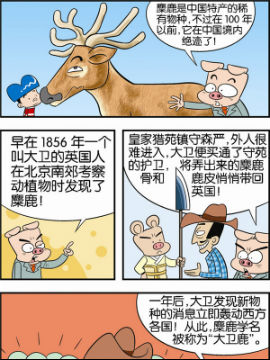 动物可笑堂41哔咔漫画