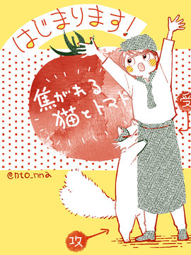 朝思暮想的猫与番茄韩国漫画漫免费观看免费