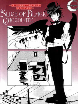 Slice of Black Chocola