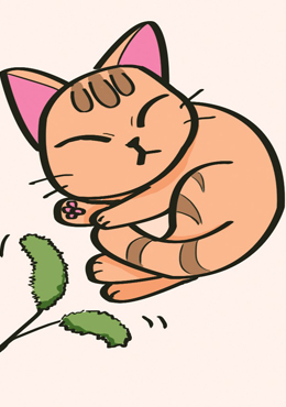 疫情期间，我家健身的猫韩国漫画漫免费观看免费