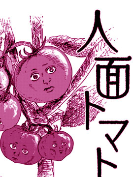 人脸西红柿最新漫画阅读